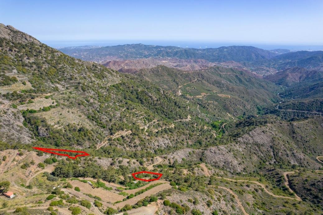 Five fields in Sykopetra, Limassol photo 3