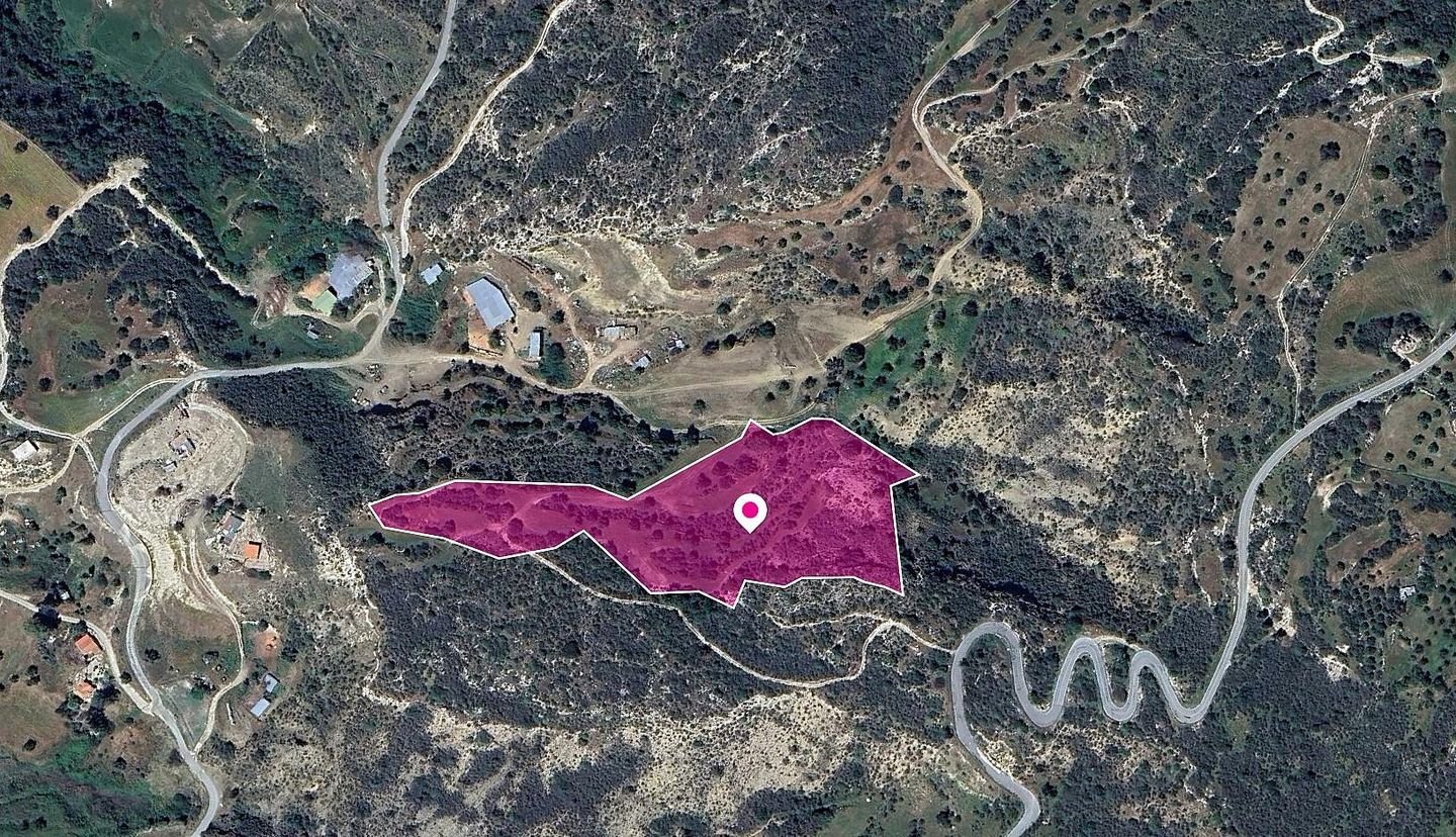 Field in Agios Isidoros, Paphos photo 2