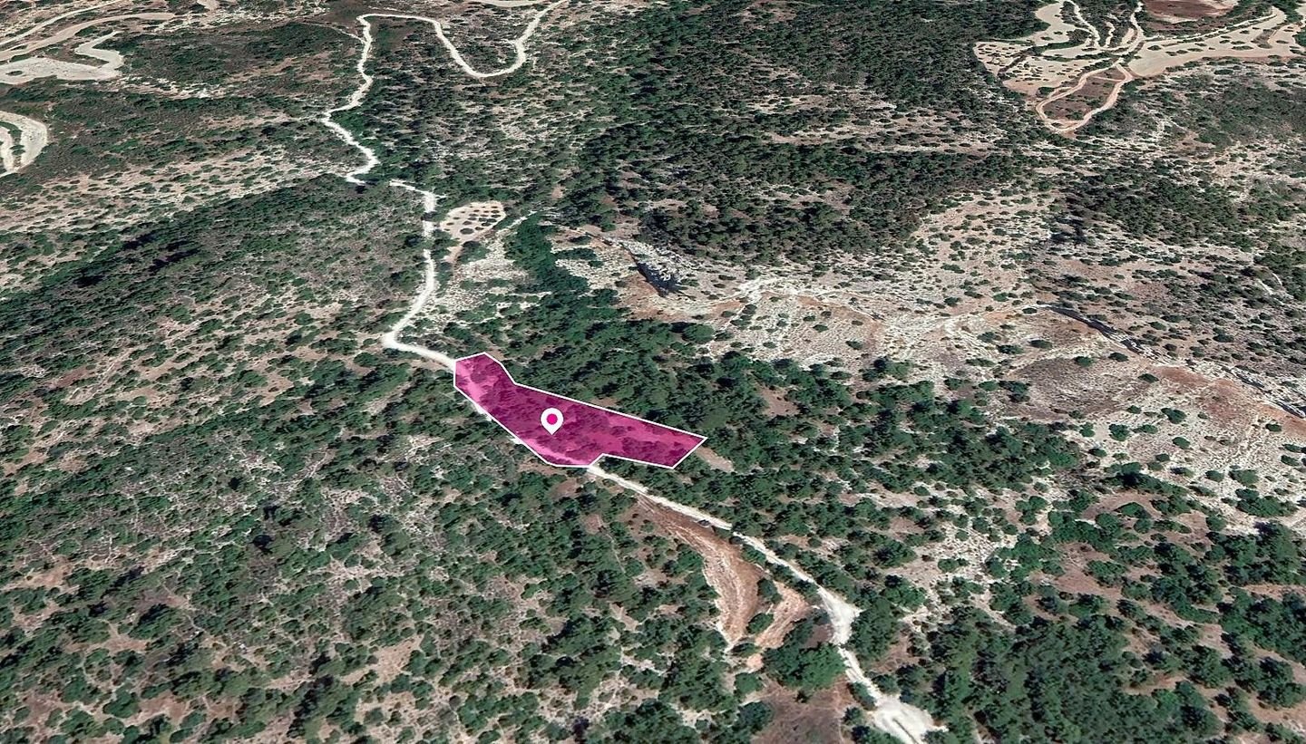 Field in Amargeti, Paphos photo 3