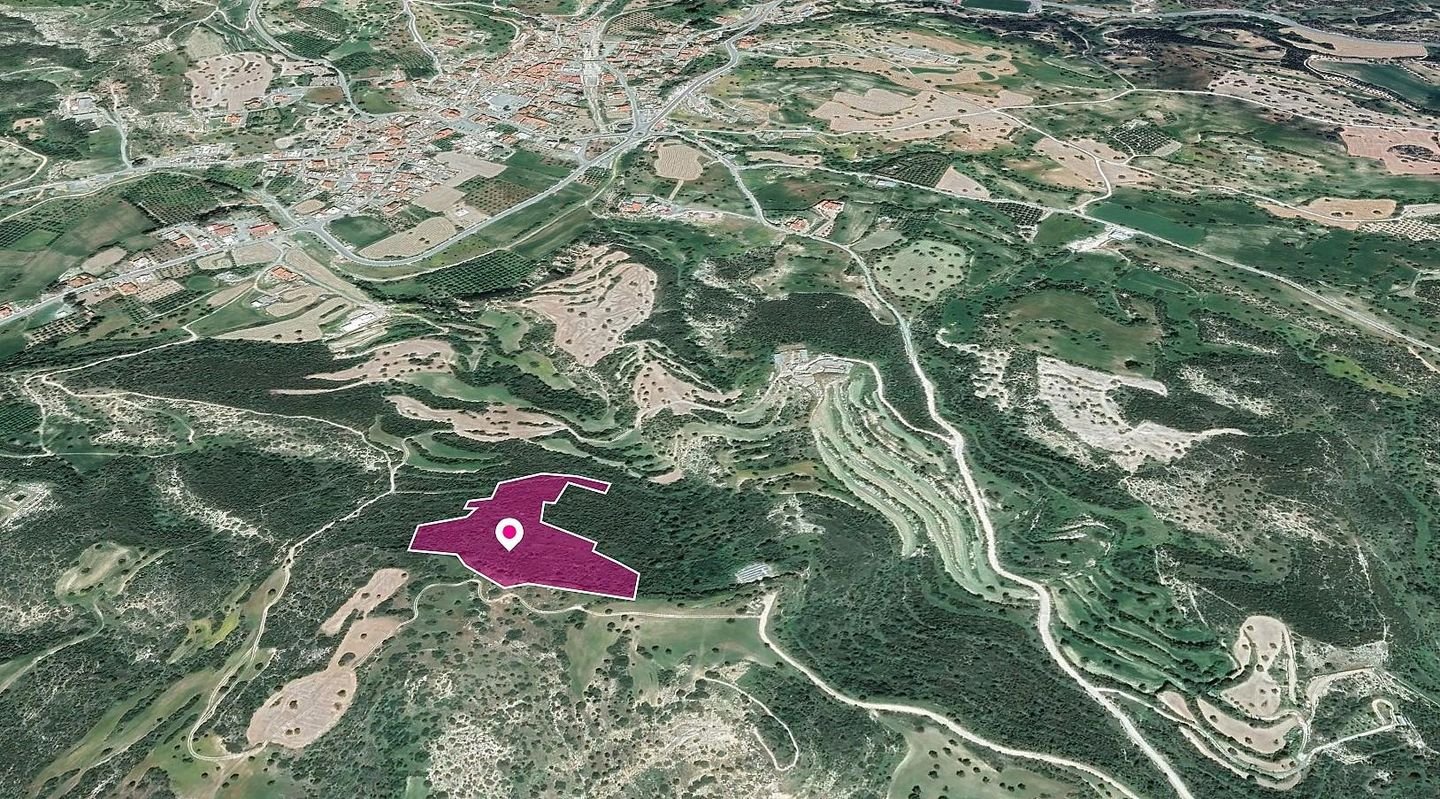 Agricultural Field in Agios Theodoros, Larnaca photo 3