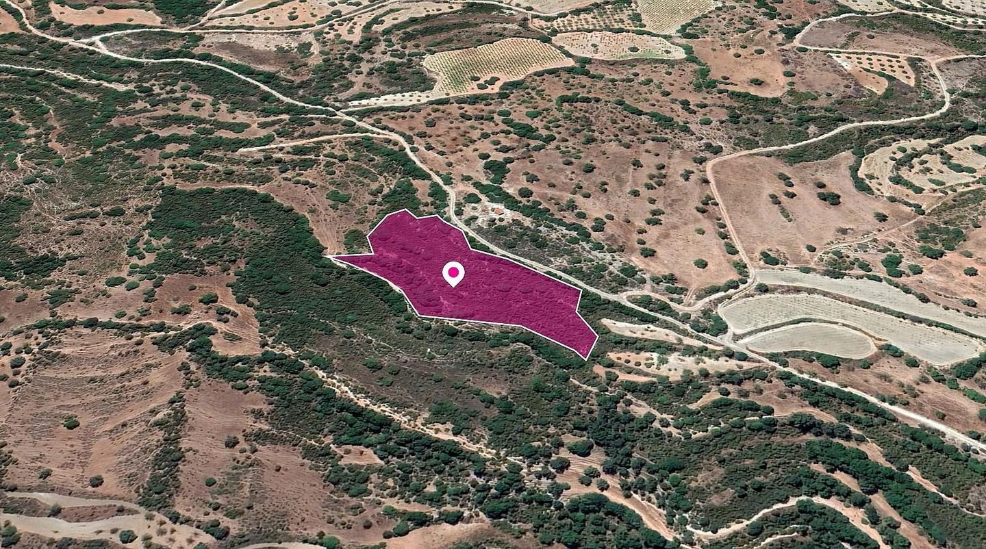 (Share) Agricultural Field, Choulou, Paphos photo 3