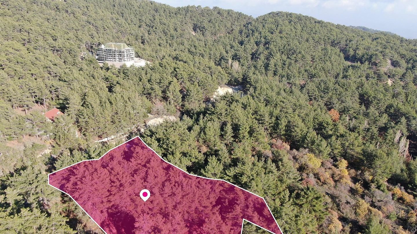 (Share) Residential Field, Pano Platres, Limassol photo 4