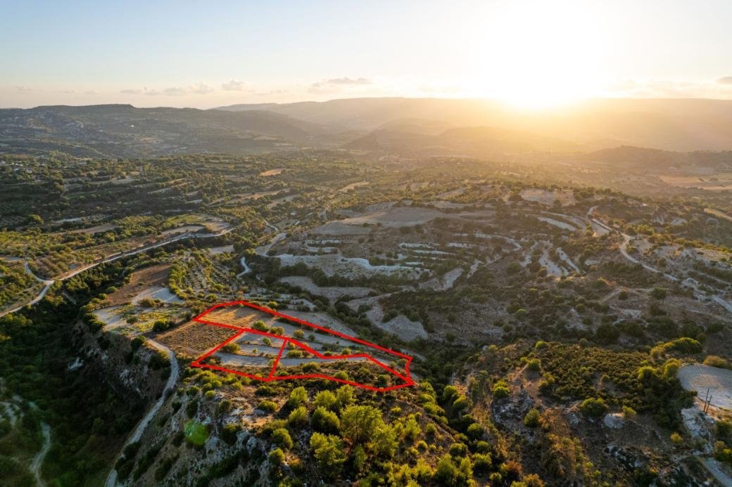 Three agricultural fields in Amargeti, Paphos photo 3