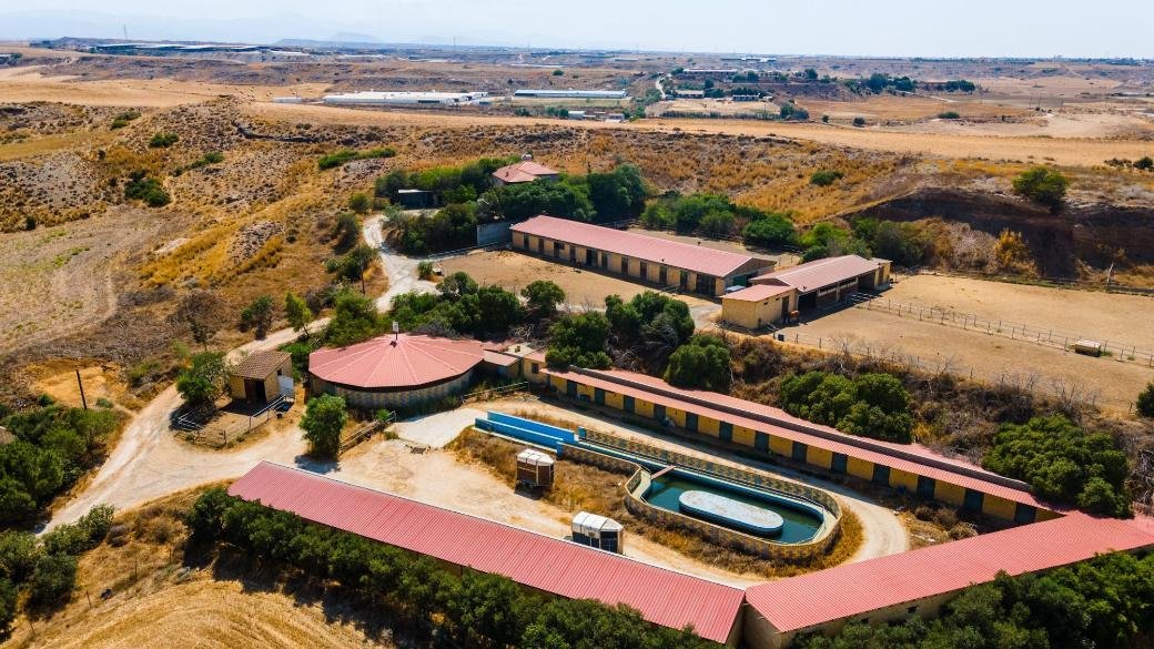 Fields with a horse farm in Pano Deftera, Nicosia photo 6