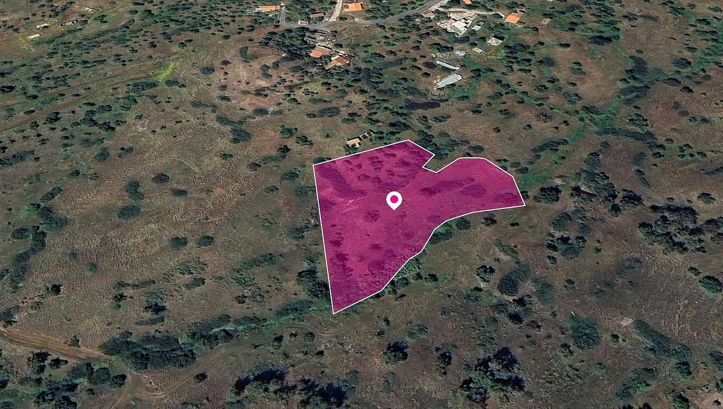 Field in Pigenia, Nicosia photo 3