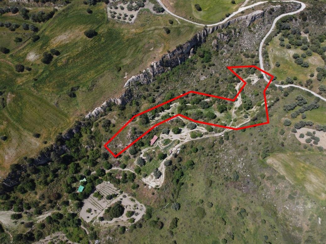 Two shared agricultural fields in Lasa, Paphos photo 3