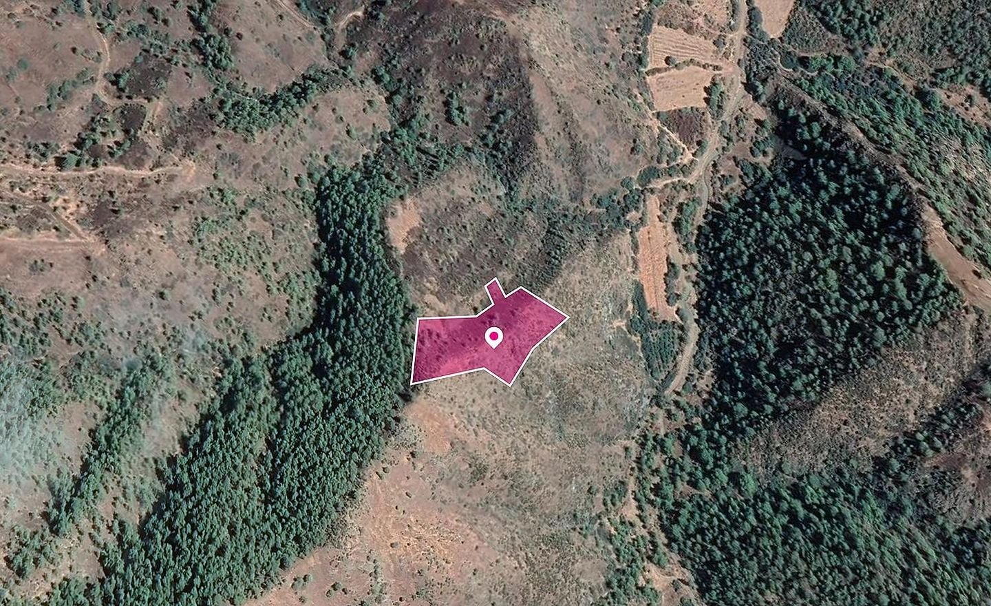 Agricultural field in Pigenia, Nicosia photo 3