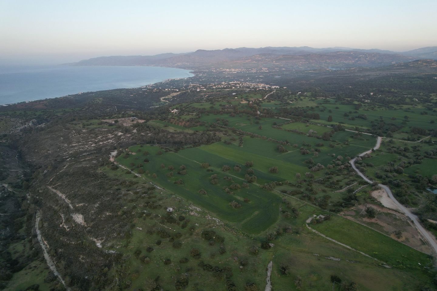 (Share) Agricultural Field, Neo Chorio Paphou photo 4
