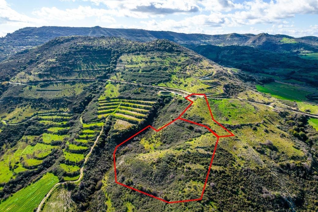 Fields in Dora, Limassol photo 3