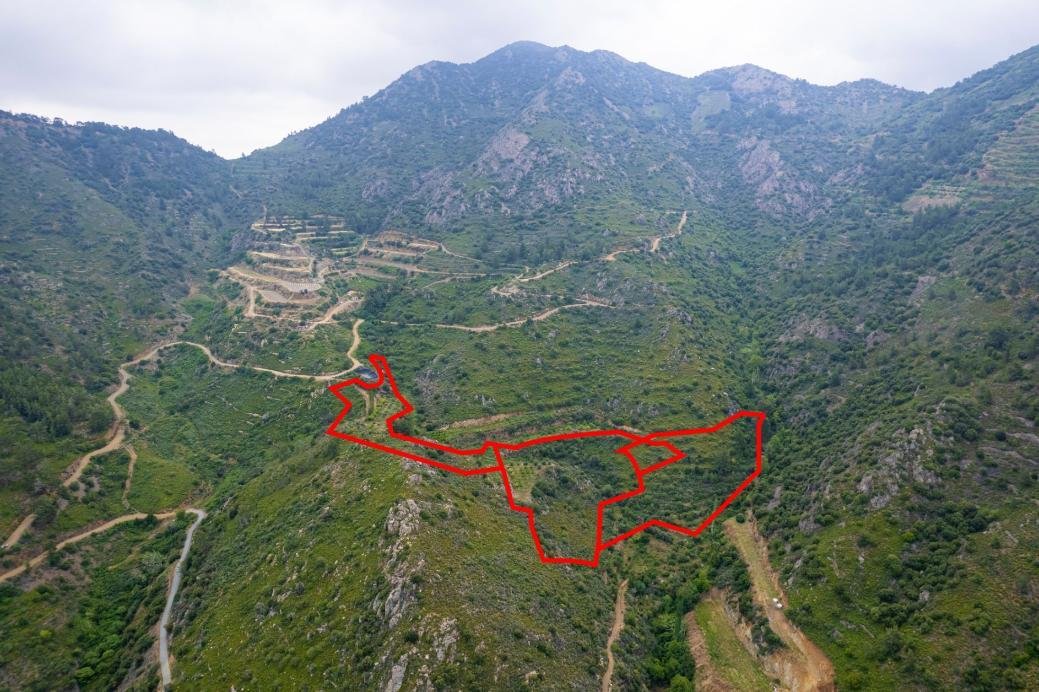 Field in Agioi Vavatsinias, Larnaca photo 2