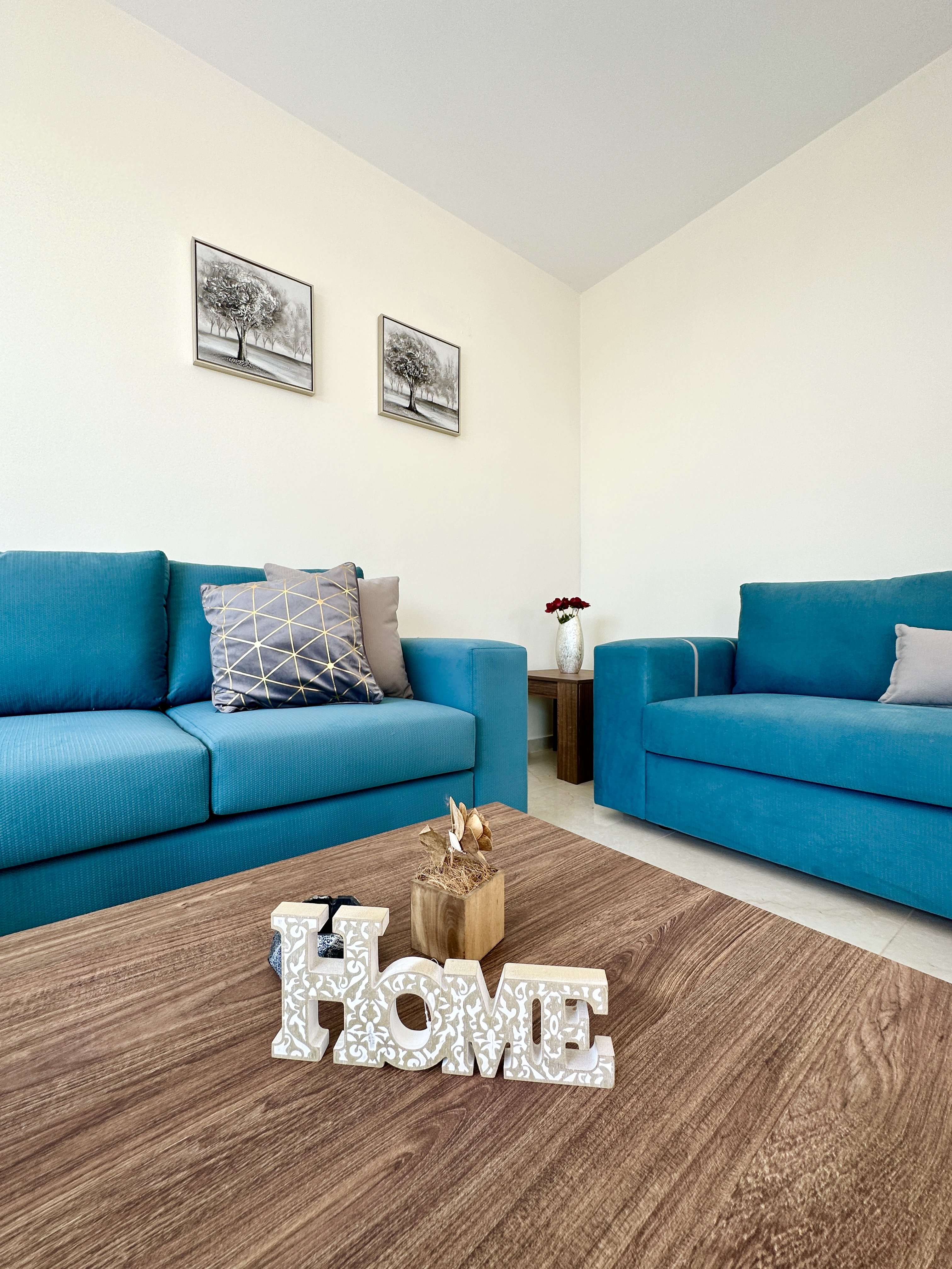 3 BR Villa in Pegeia, Paphos photo 16