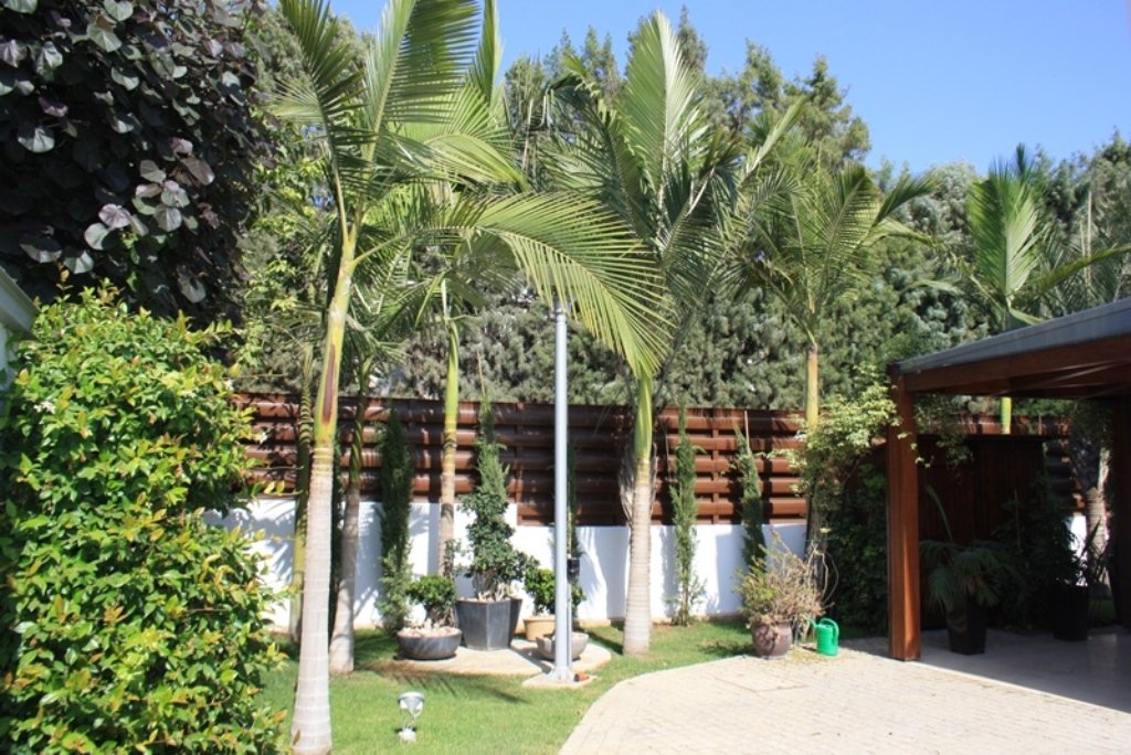 3 BR Villa in Pyrgos Tourist Area, Limassol photo 12