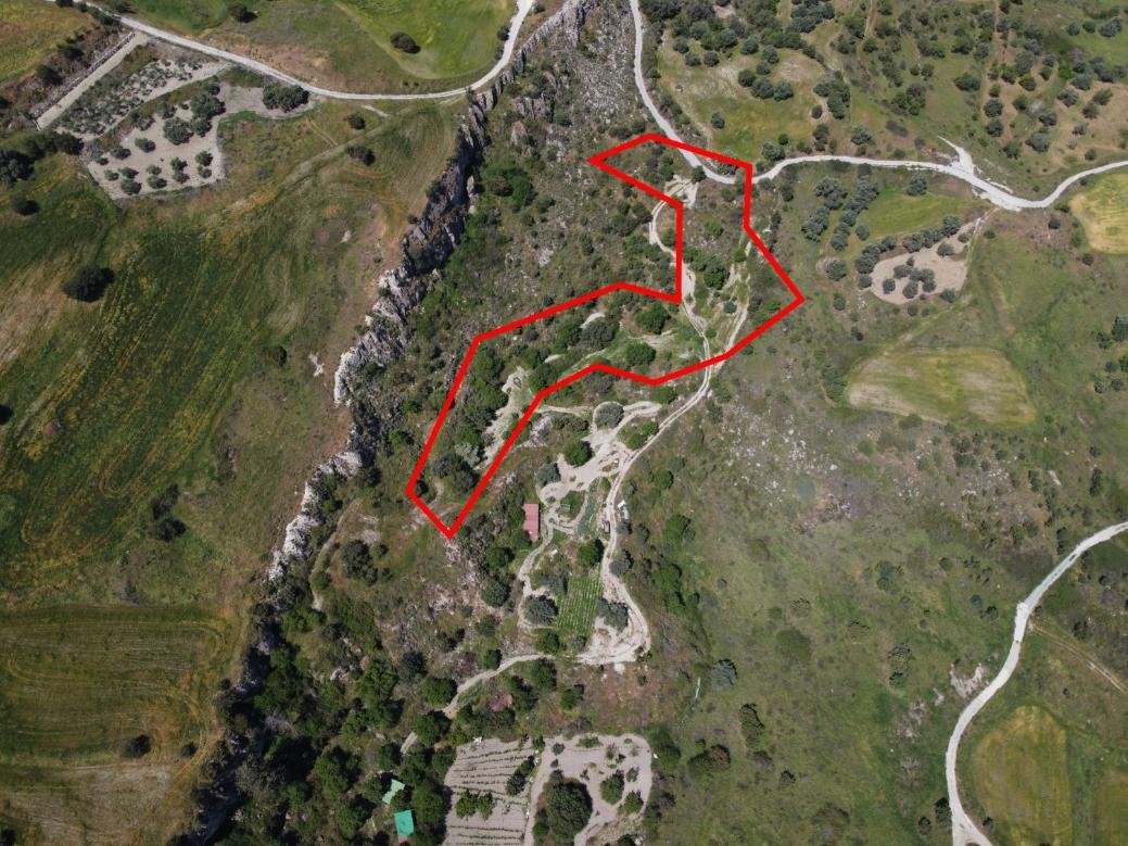 Two shared agricultural fields in Lasa, Paphos photo 2