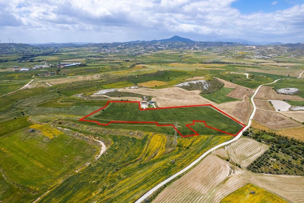 Agricultural field in Kalo Chorio, Larnaca photo 3