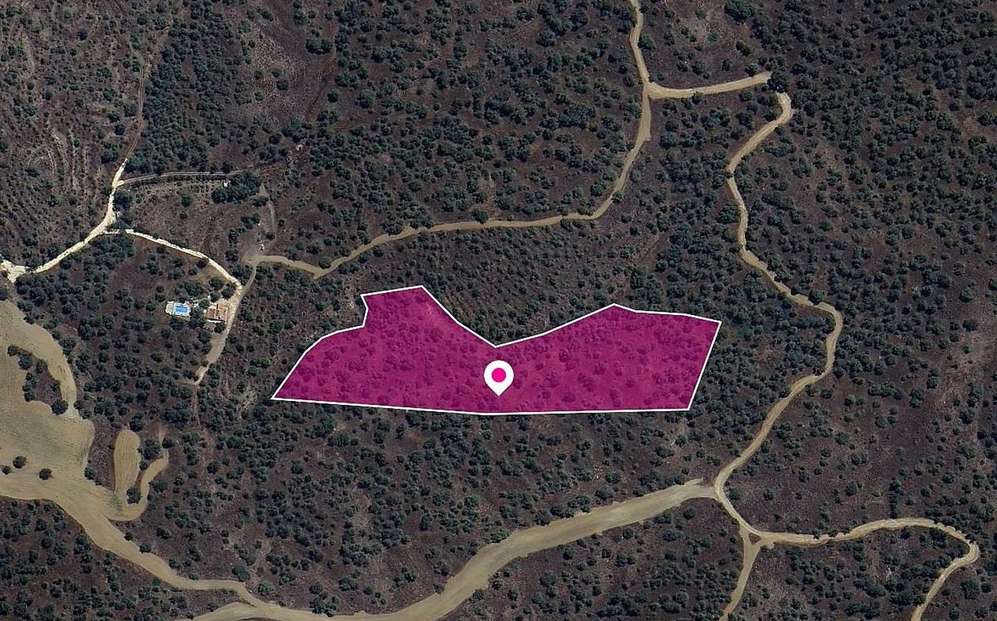 (Share) Agricultural field in Evrychou, Nicosia photo 3