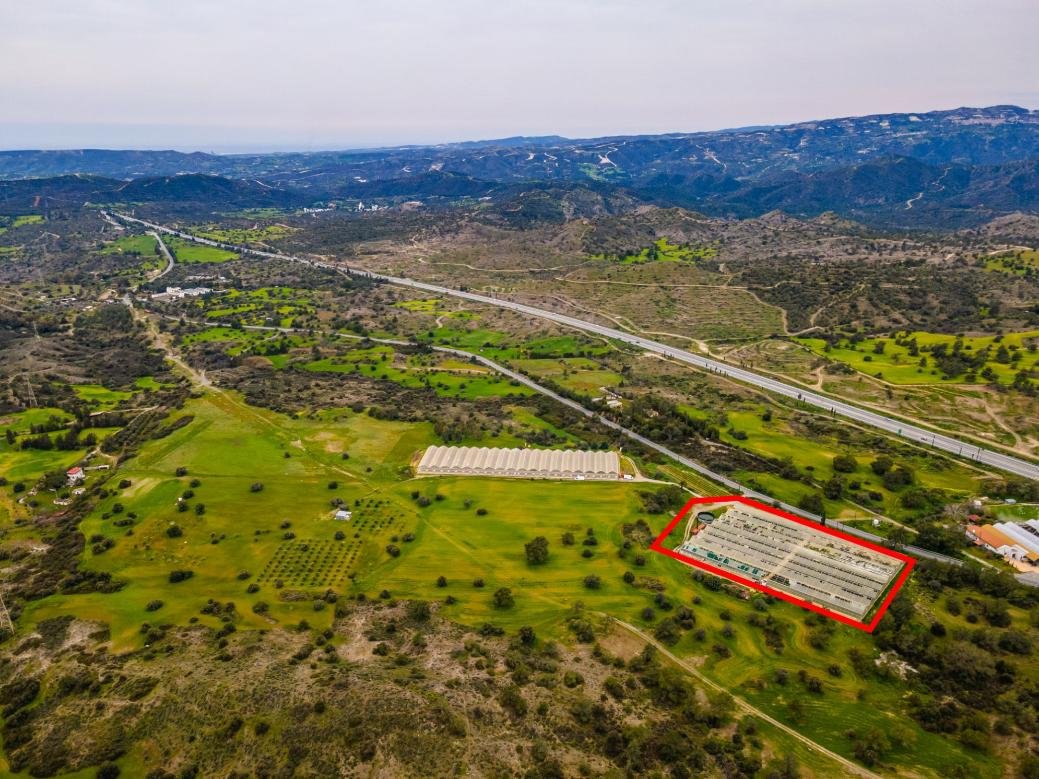 Field in Kornos, Larnaca photo 4