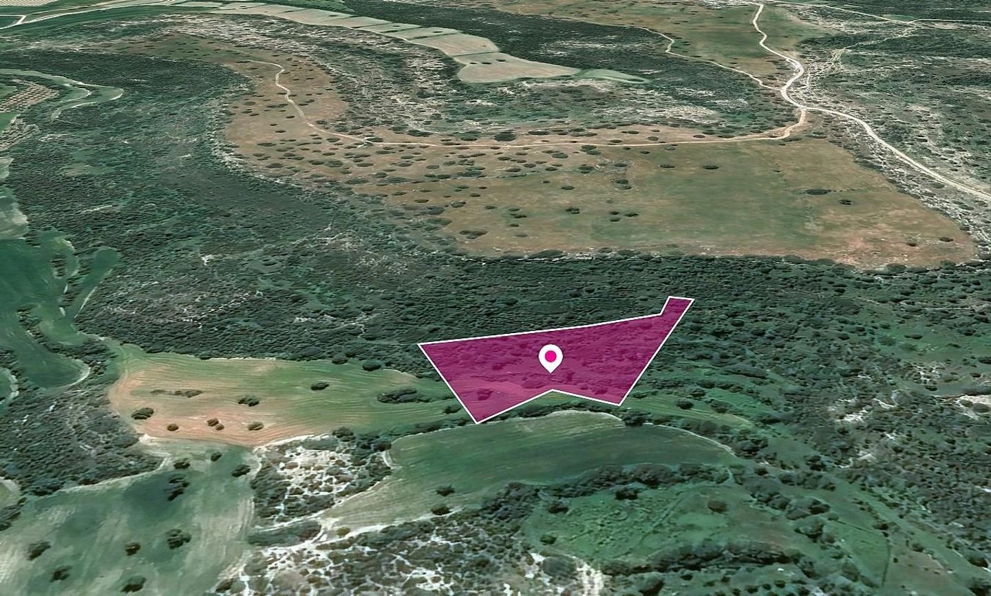 Field in Agios Theodoros, Larnaca photo 3