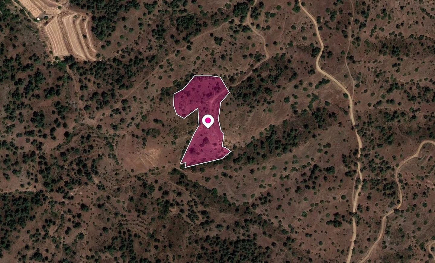 Field in Gourri, Nicosia photo 2