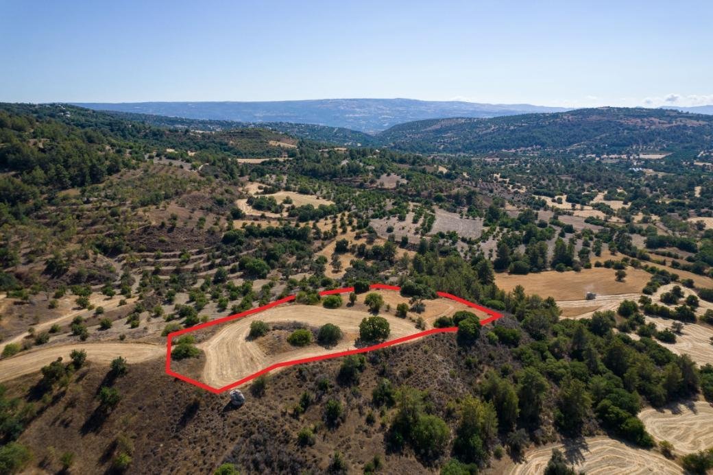 Shared agricultural field in Lysos, Paphos photo 3