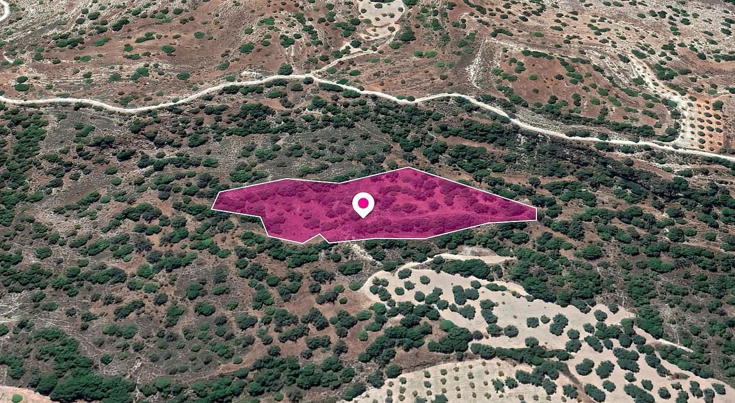 (Share) Agricultural Field, Kannaviou - Melamiou, Paphos photo 3