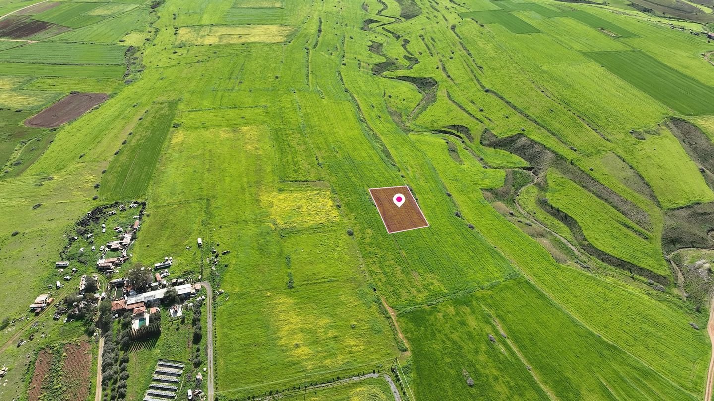 Livestock field in Peristerona, Nicosia photo 4