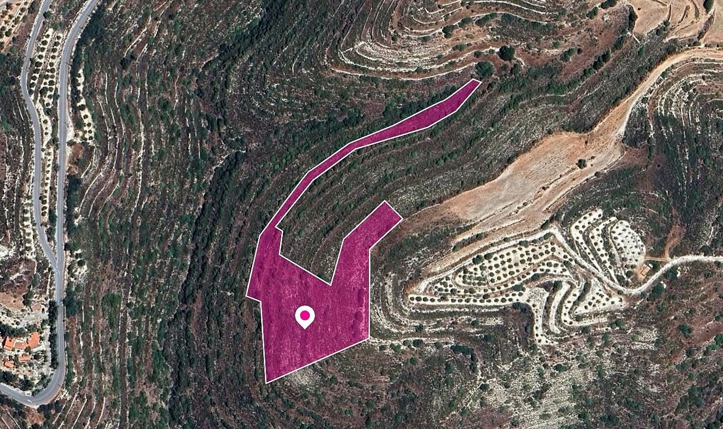 Field in Agios Therapon Community, Limassol photo 3