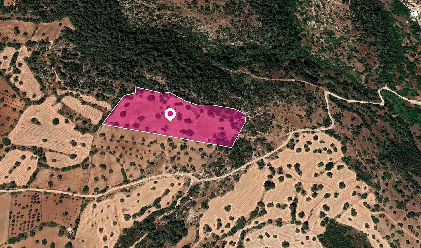 (Share) Field, Neo Chorio, Paphos photo 2