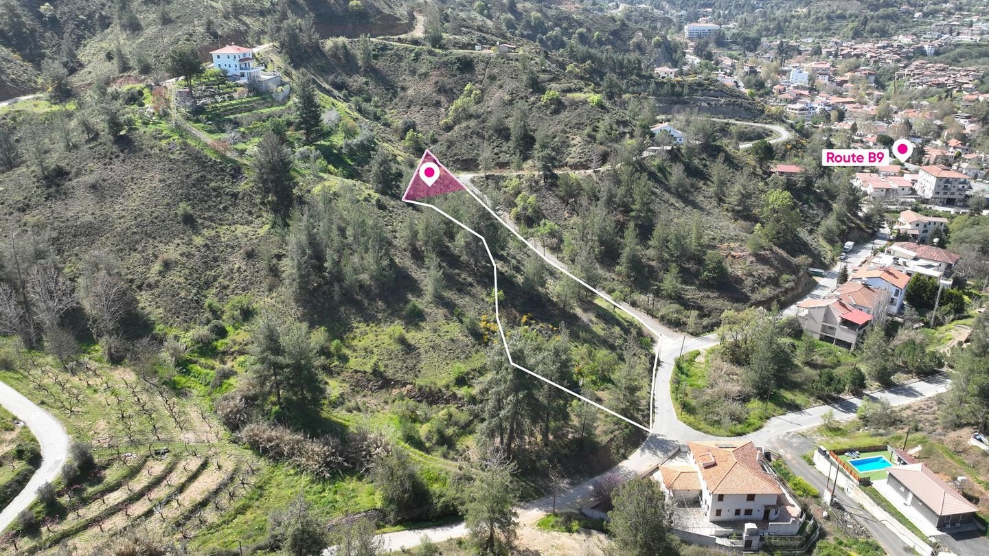 17% Distributed Share of a residential field,in Kakopetria, Nicosia photo 4