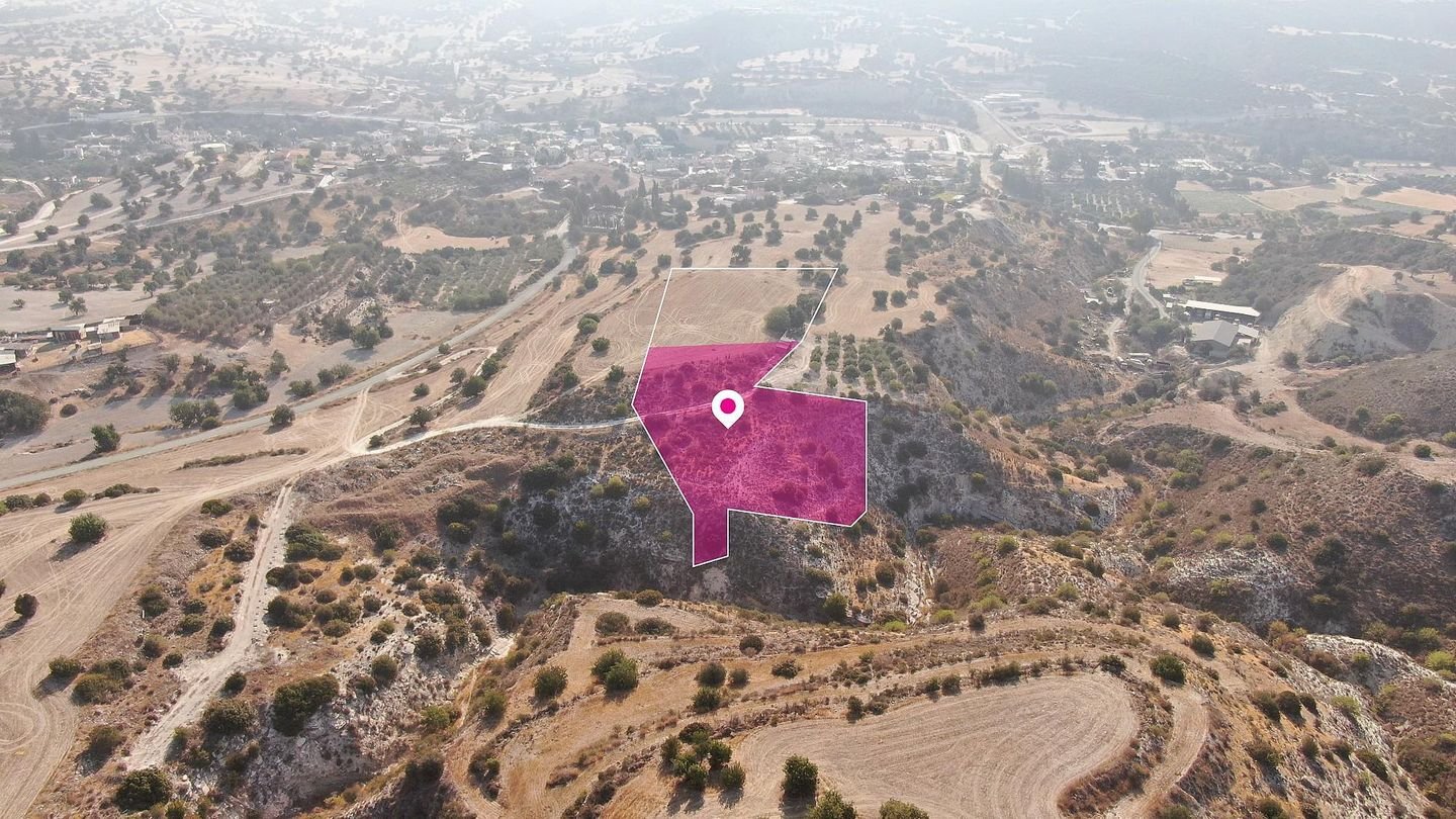 (Share) Residential Field in Agios Theodoros, Larnaca photo 3