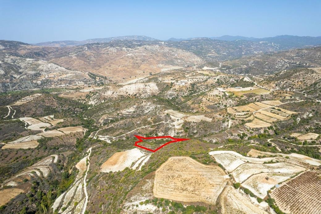 Field in Dora, Limassol photo 3