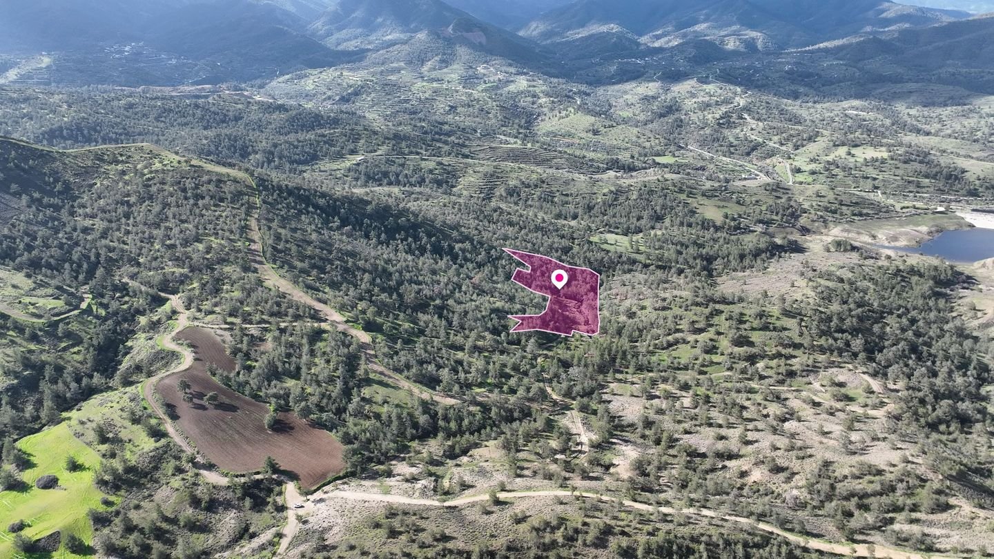 Livestock field in Agia Marina Xyliatou, Nicosia photo 2