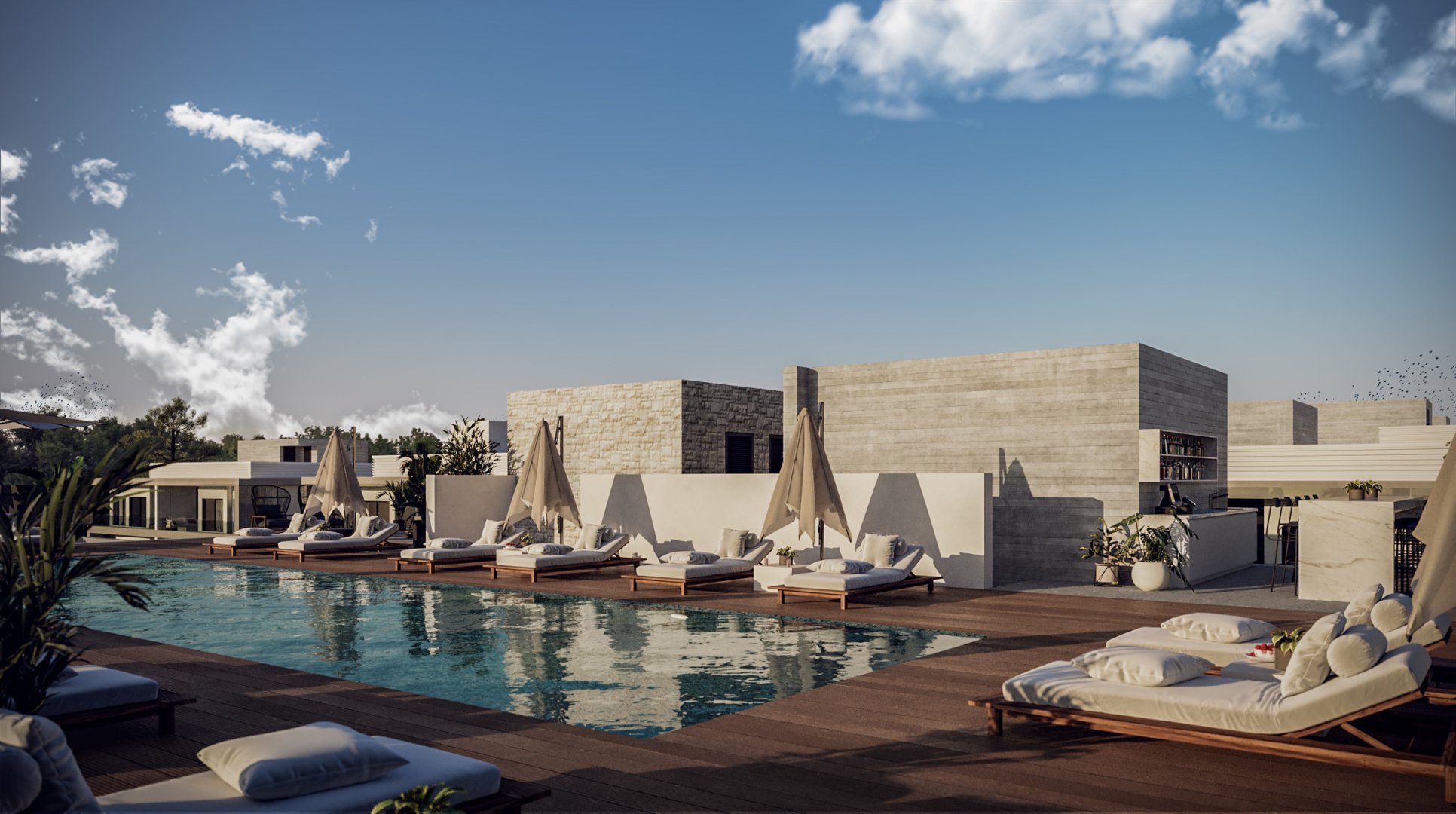 1 BR Apartment in Geroskipou, Paphos photo 4