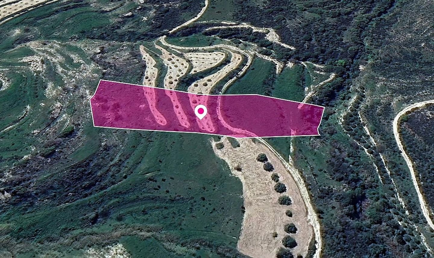 Animal Breeding Zoned Field in Stroumpi, Paphos photo 3