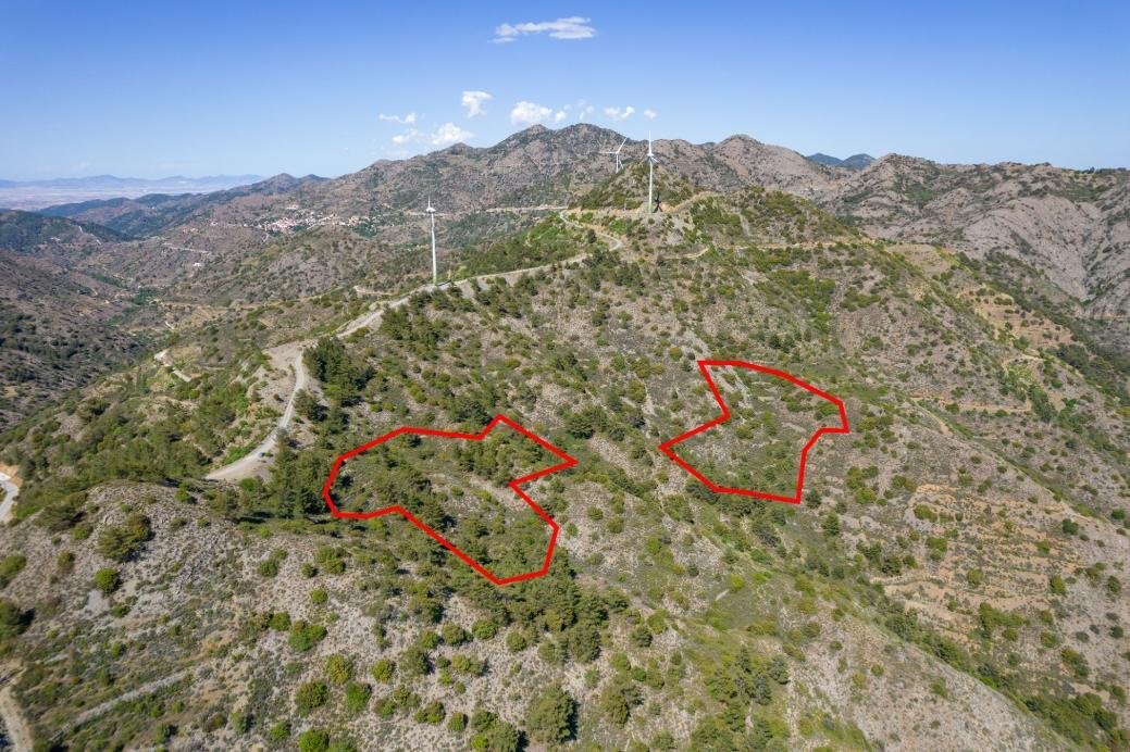 Five fields in Sykopetra, Limassol photo 9