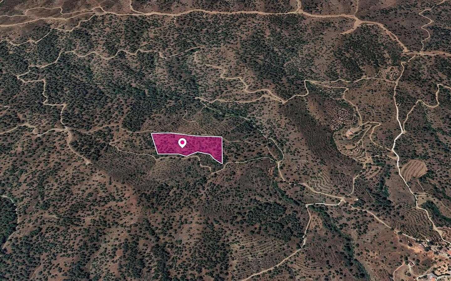 Special Protection Zone Field in Agios Theodoros, Nicosia photo 3