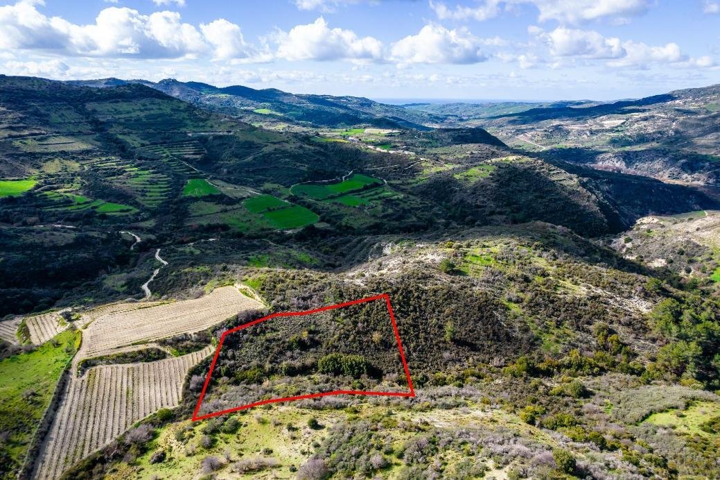 Field in Dora, Limassol photo 3