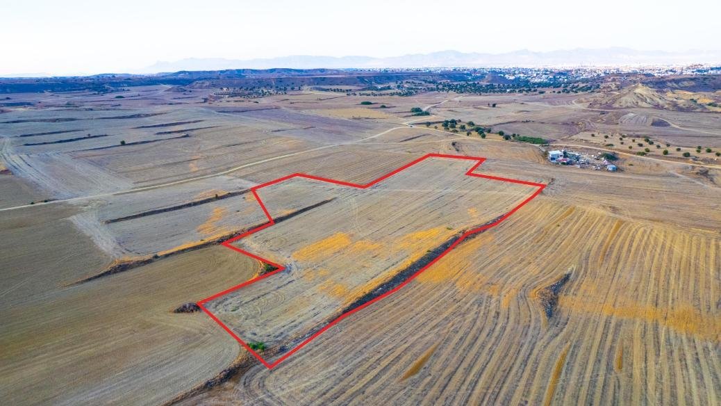 Shared agricultural field in Tseri, Nicosia photo 3