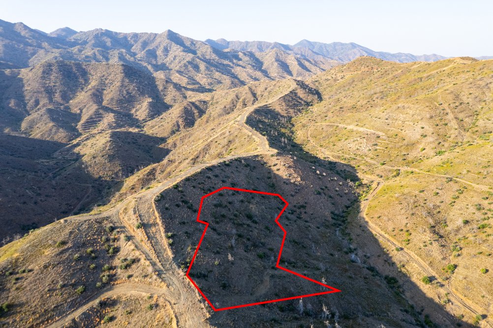 Field in Eptagoneia, Limassol photo 3