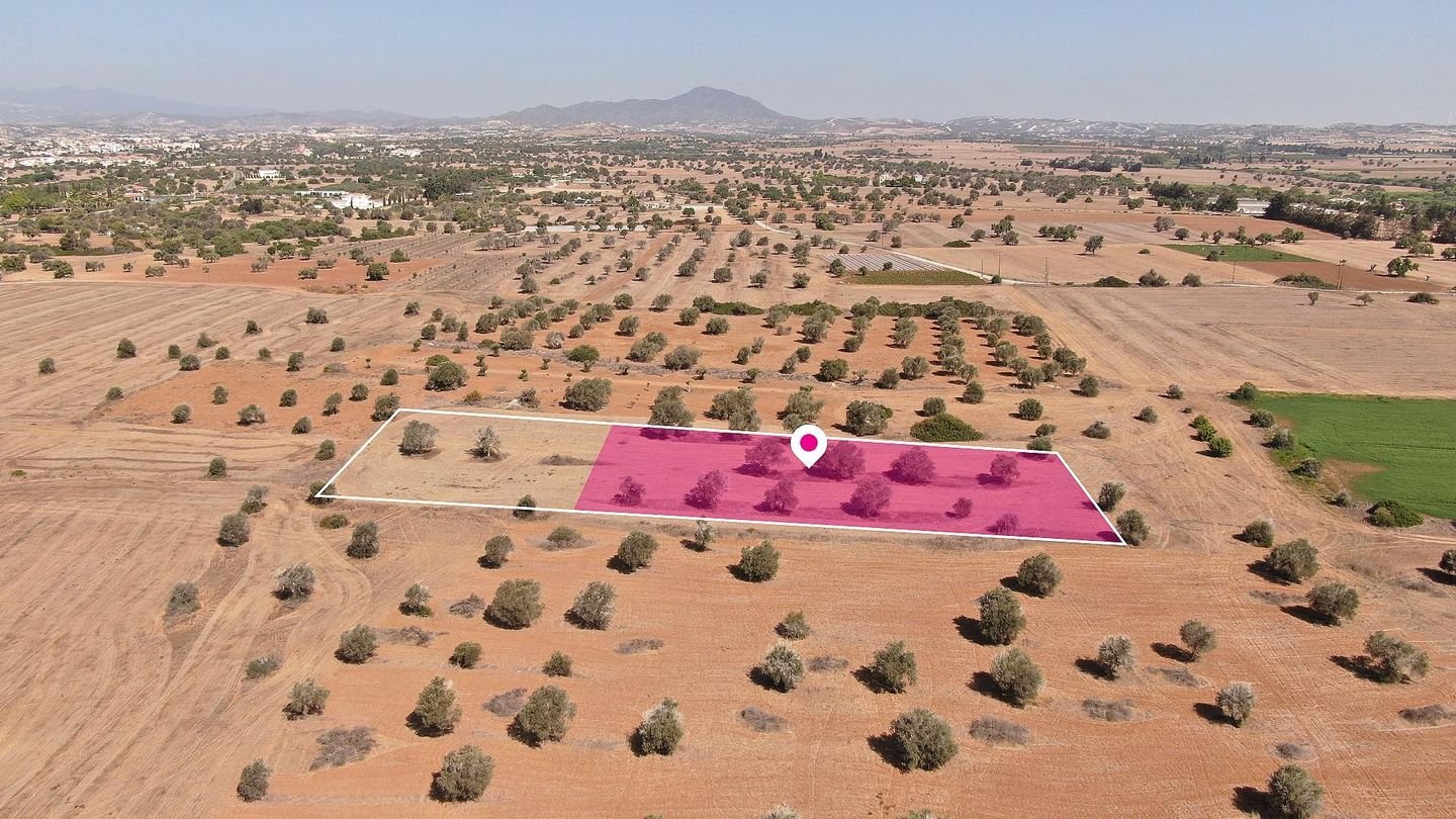 75% Share of a Touristic Field in Mazotos, Larnaca photo 2