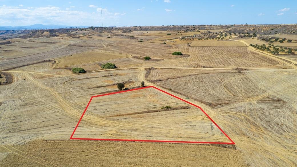 Shared agricultural field in Tseri, Nicosia photo 4