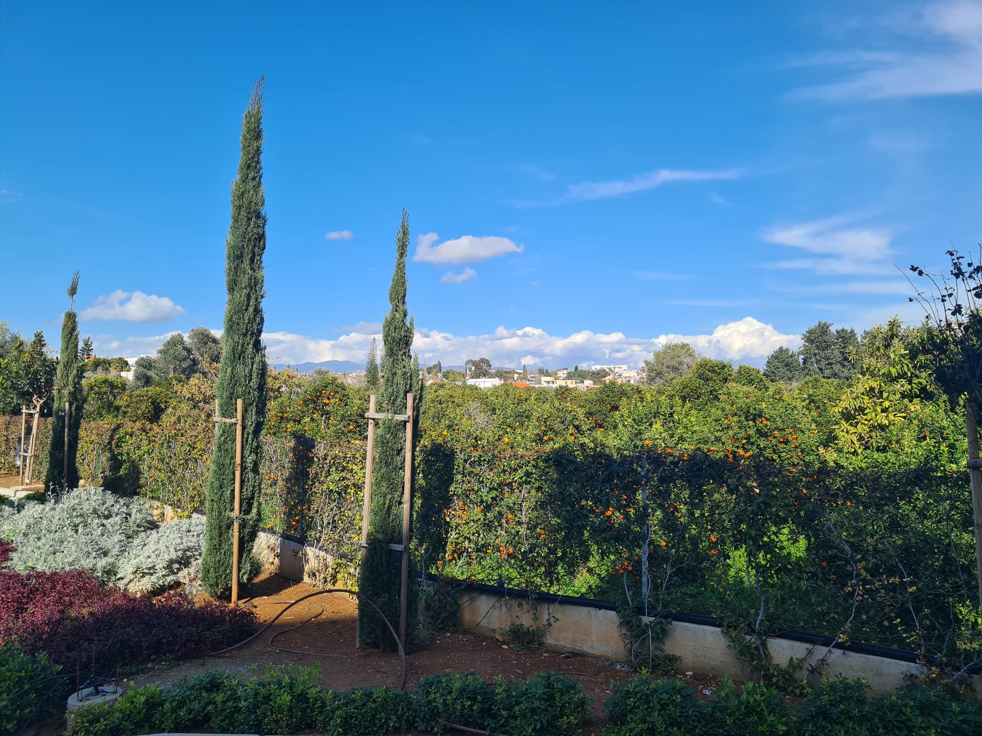 1 BR Apartment in Trachoni, Limassol photo 11