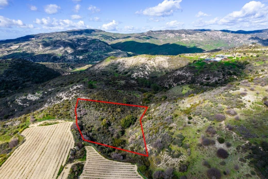 Field in Dora, Limassol photo 2