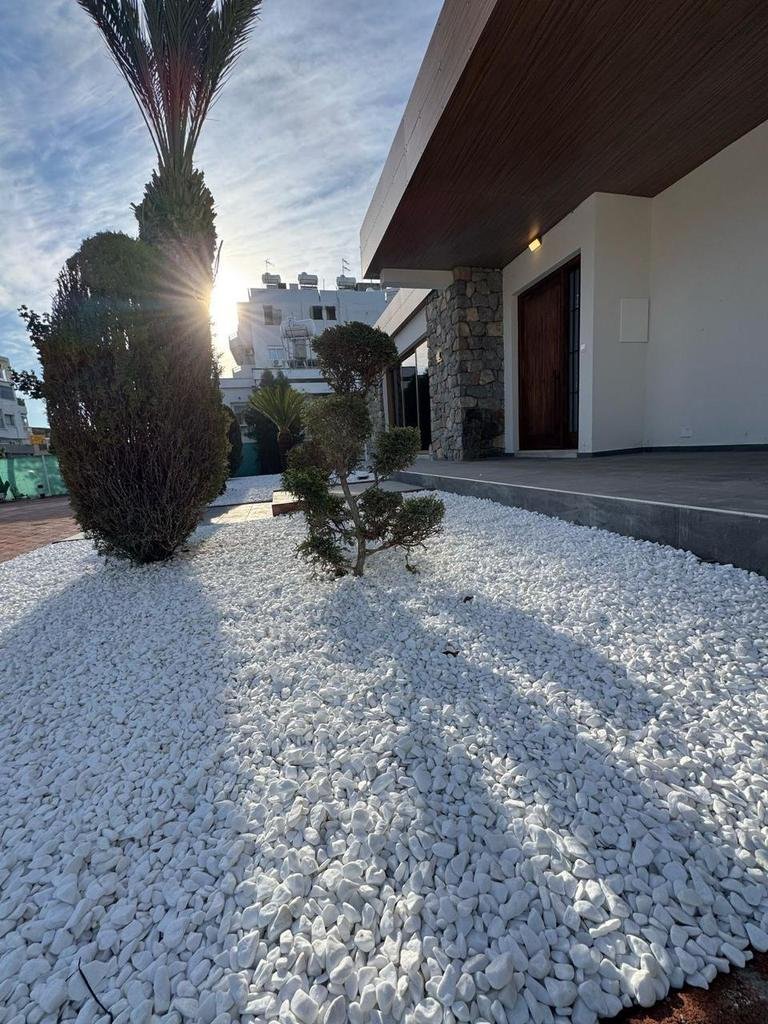 Fully renovated Office in Agios Georgios, Limassol photo 30