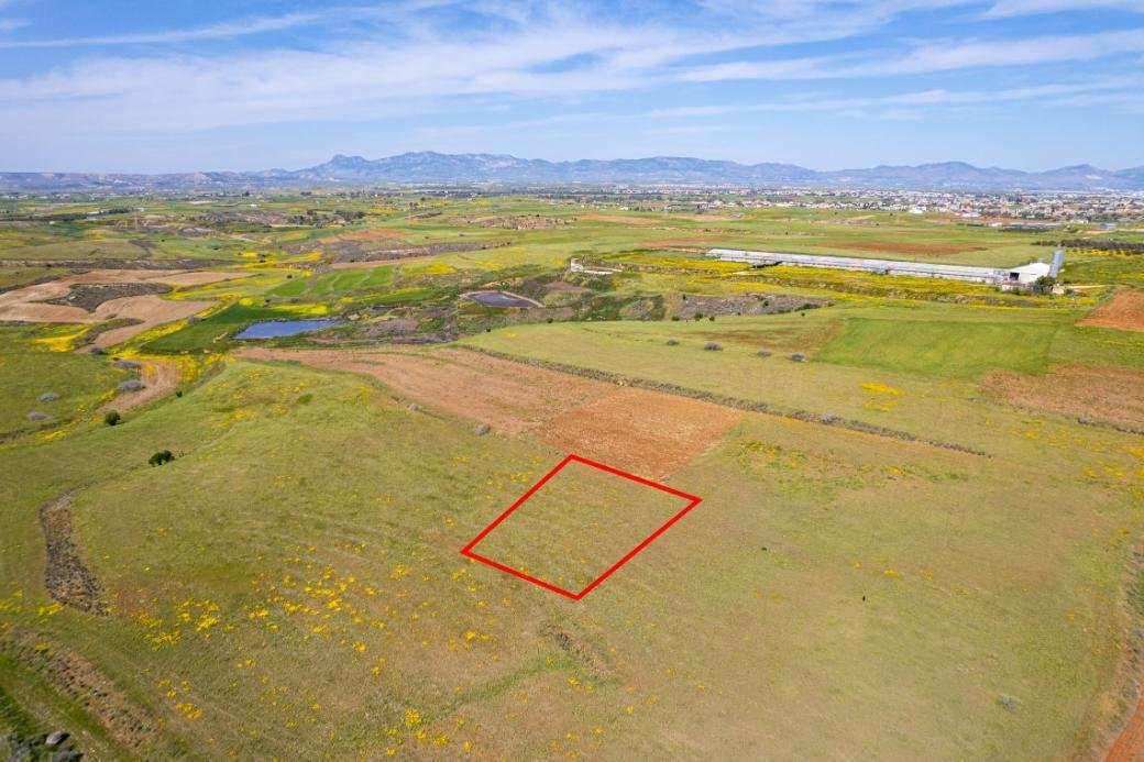 Agricultural field in Palaiometocho, Nicosia photo 7