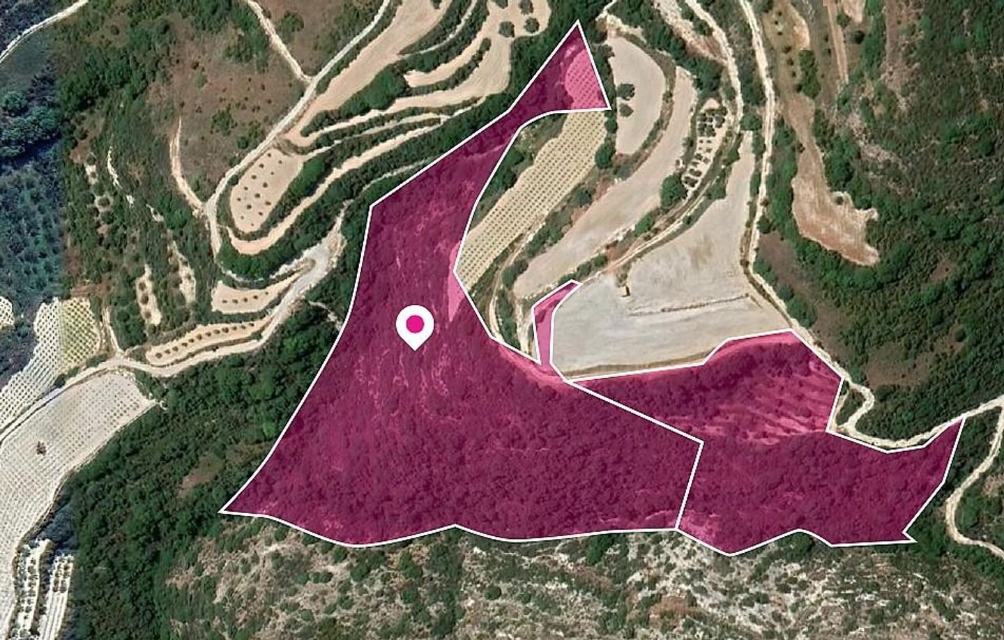 Two Agricultural and Special protection fields in Theletra, Paphos photo 1