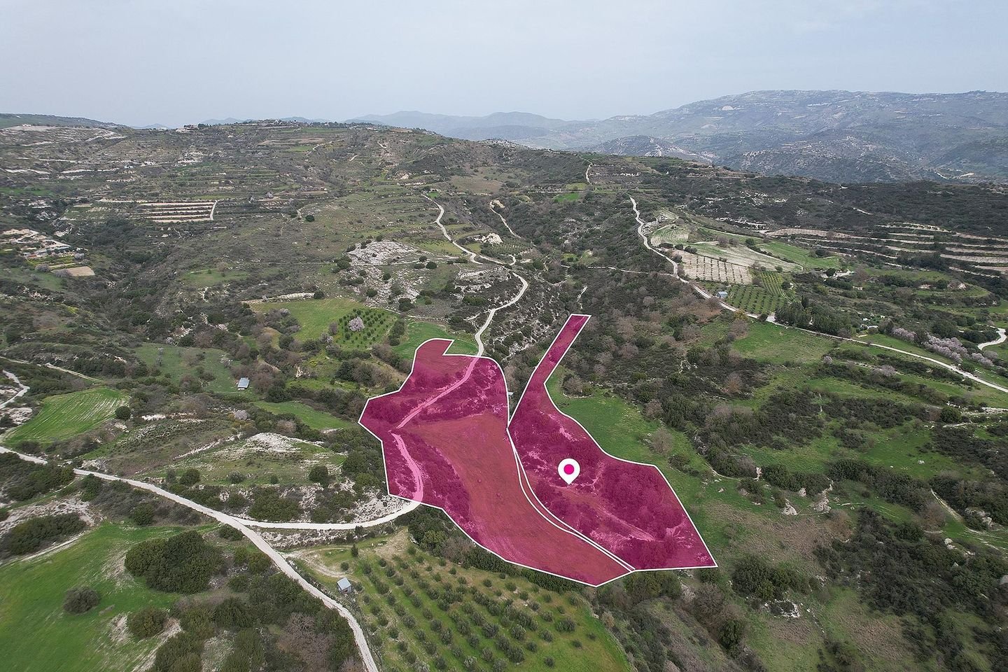 Three Agricultural fields, Psathi, Paphos photo 4