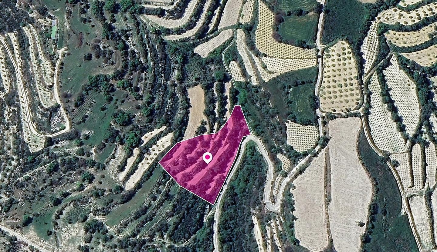 Agricultural Field, Koili, Paphos photo 3