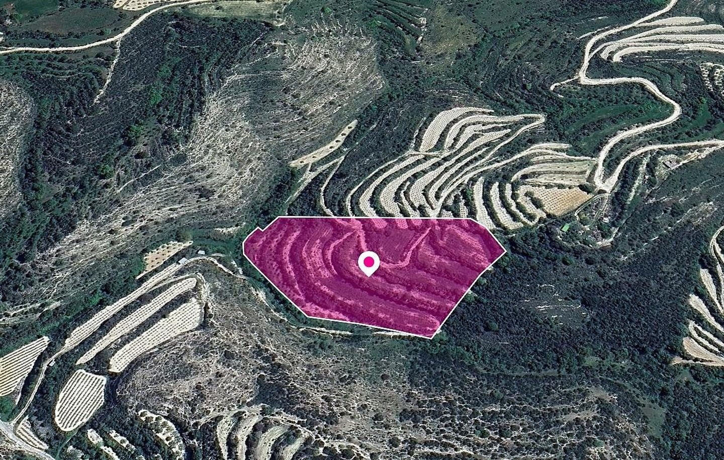 Agricultural Field in Koili, Paphos photo 3