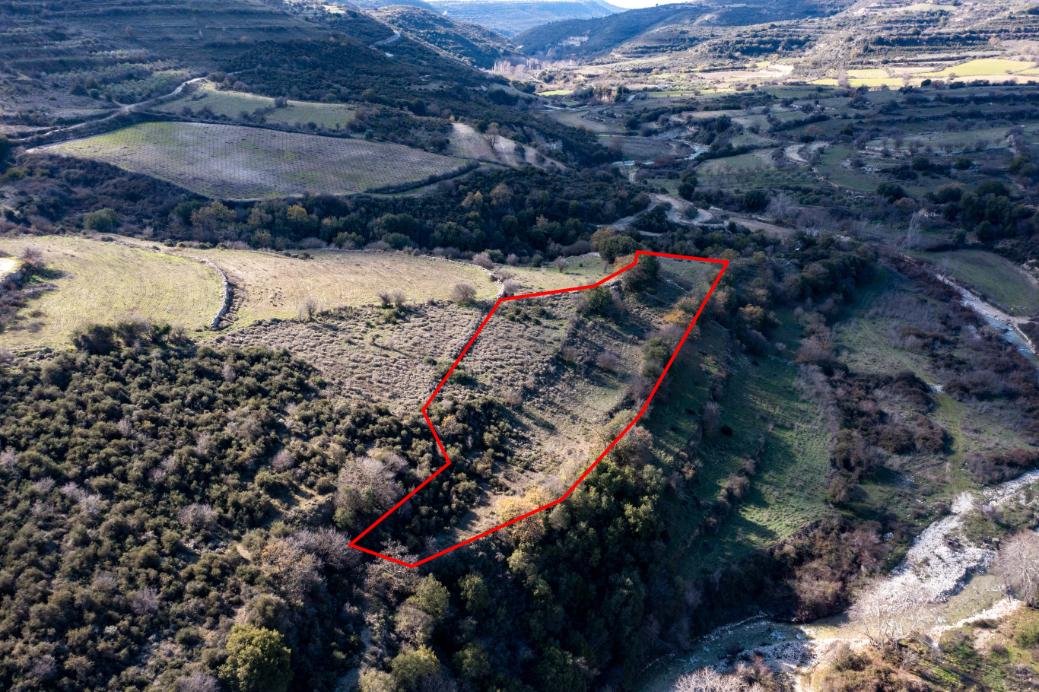 Field in Dora, Limassol photo 3