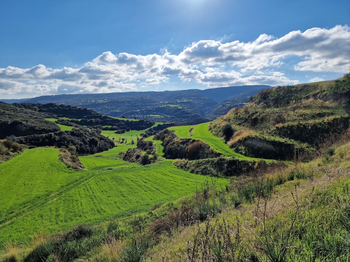 Agricultural Field, Skoulli photo 7